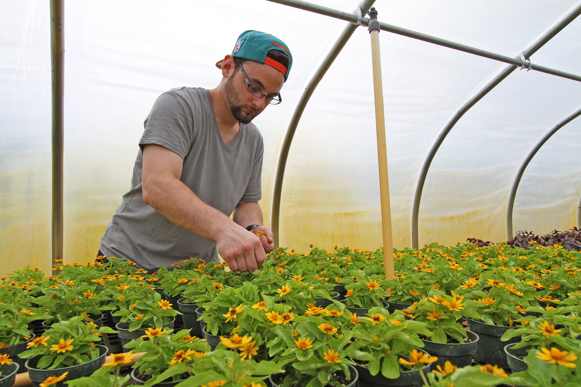 CFCC AgScience Summer Camp
