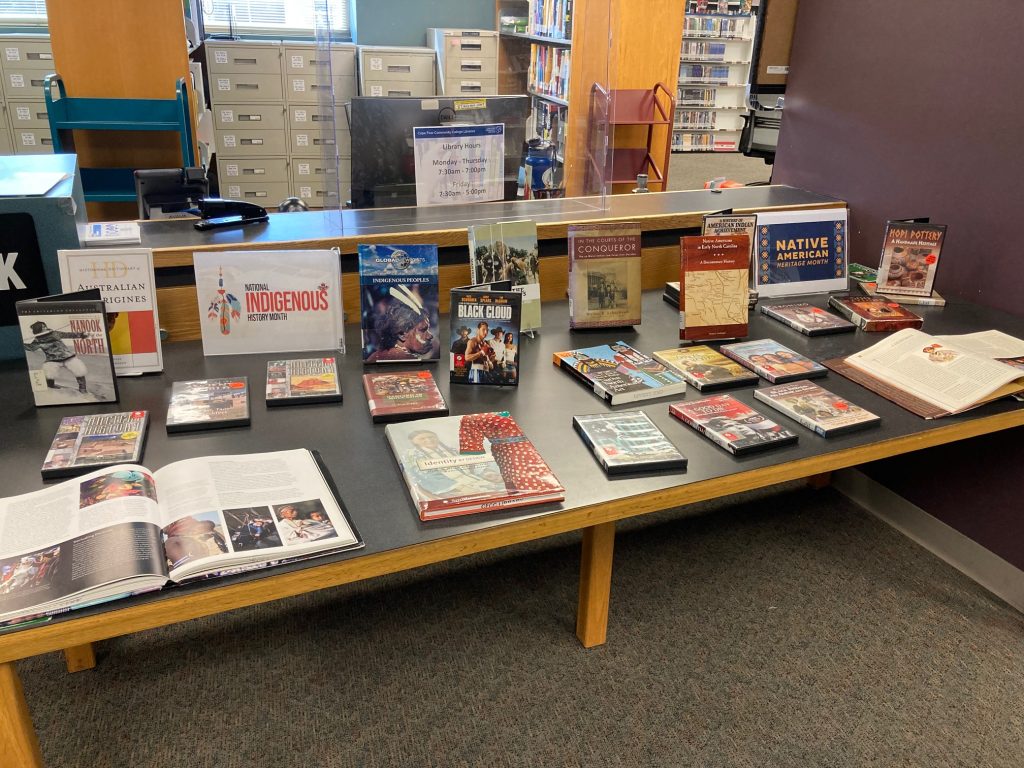 Native American History Month Display