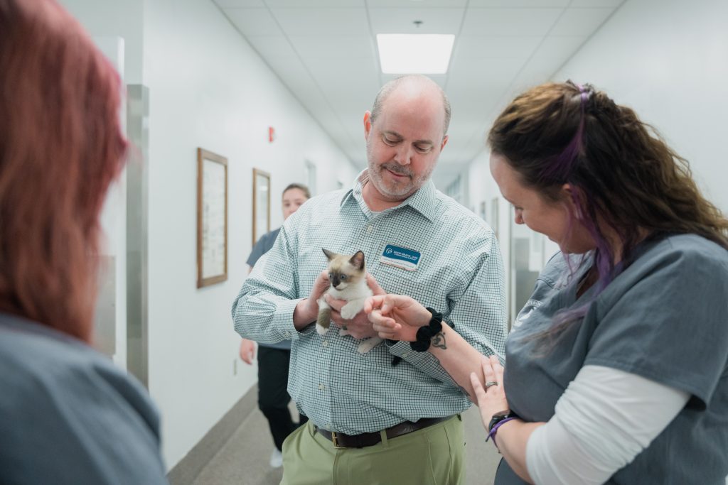 Dr. Brazik holding a kitten