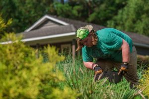 Landscape Gardening Student 2