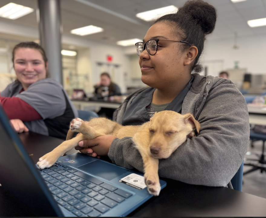 isabel holding dog while on laptop at school