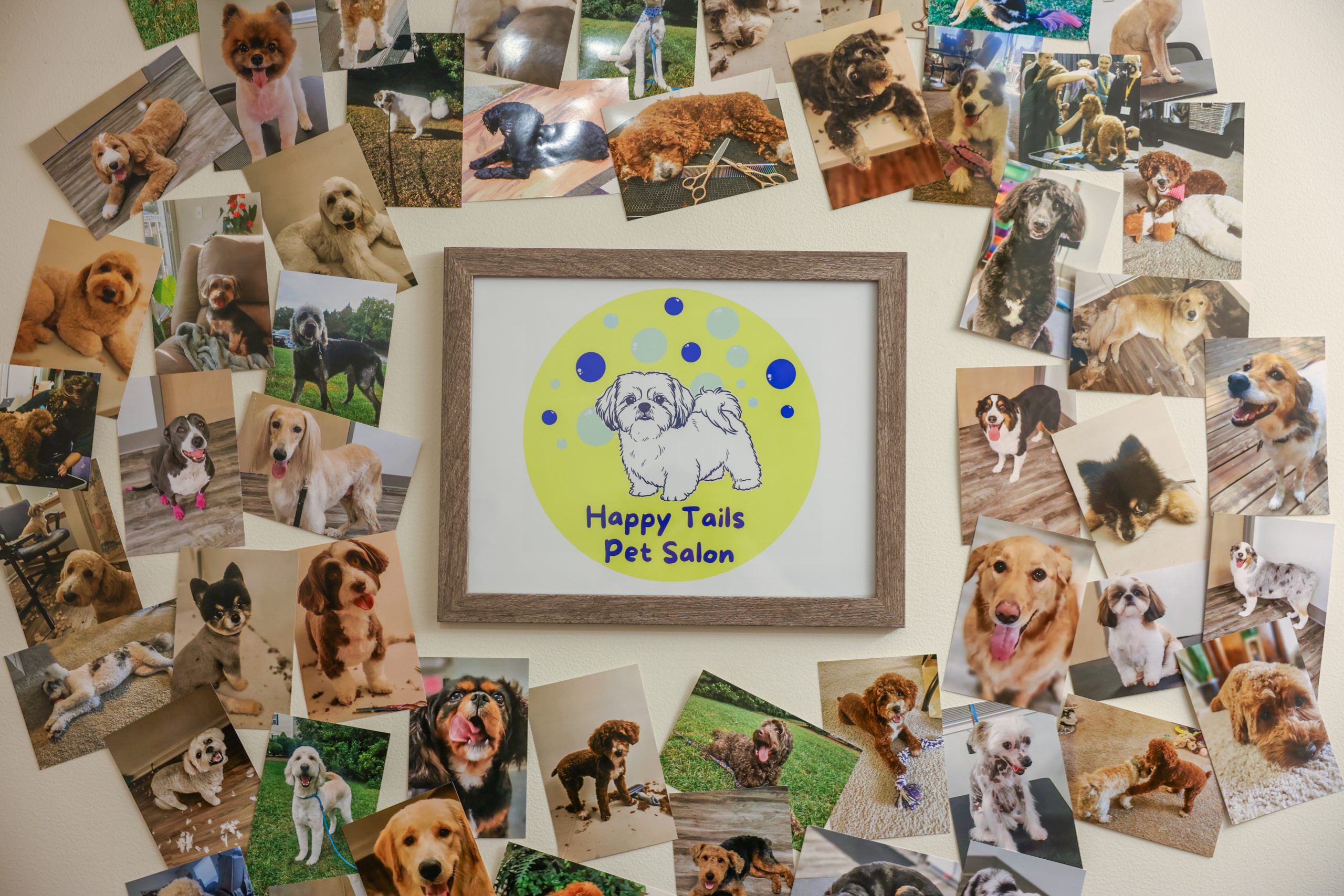 college of dogs on a wall with frame in middle that says happy tails pet salon