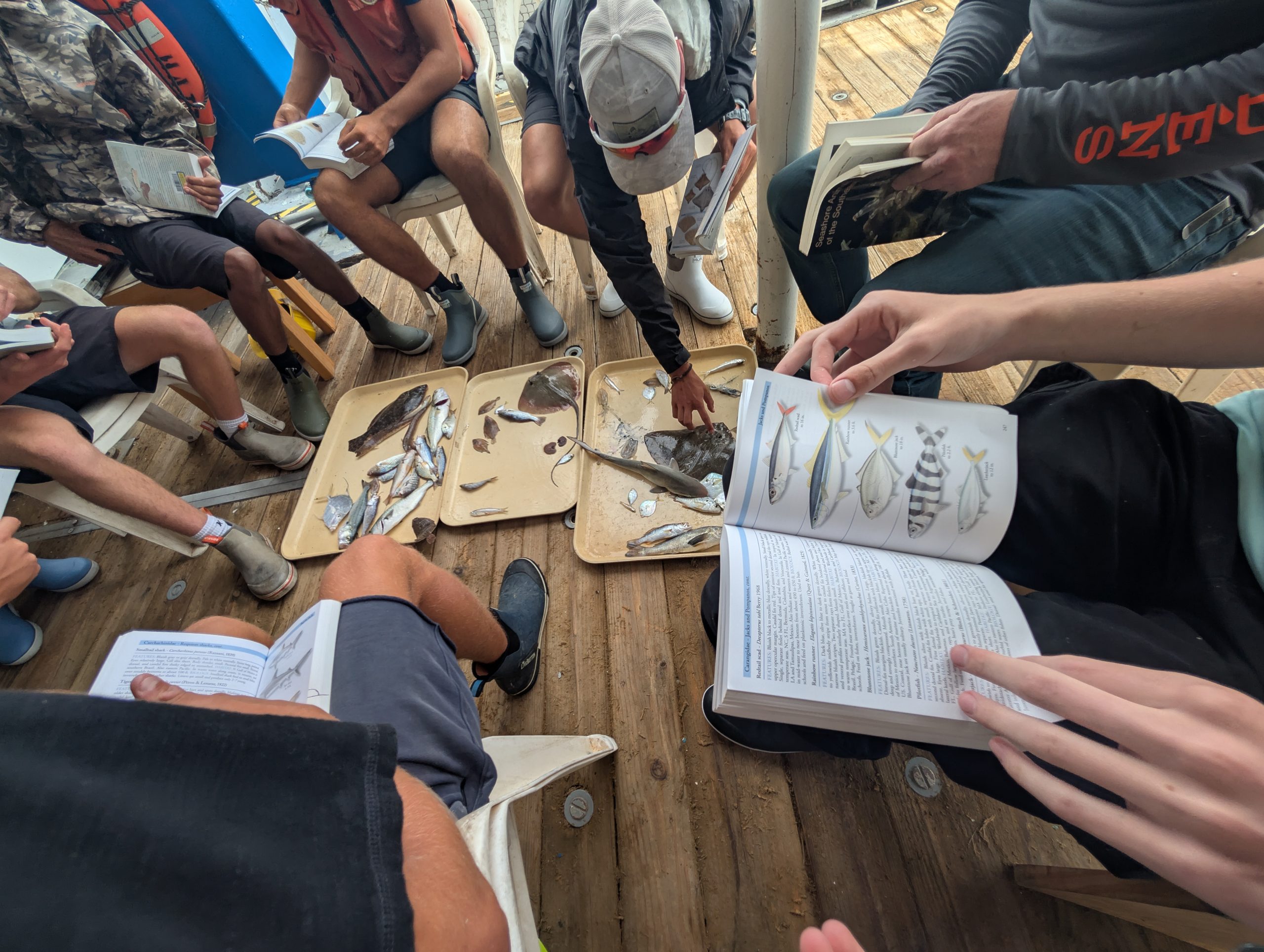 students gathered around aboard a vessel identifying species from a dredge