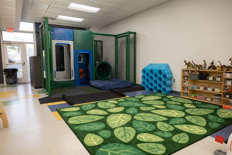 Indoor children’s play and learning area featuring a green-and-blue enclosed climbing structure with tunnels and padded ramps, a blue honeycomb-shaped climbing feature, a large green leaf-patterned rug, and low shelves filled with toys and dinosaur figures.